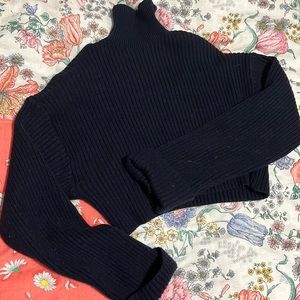 Cropped Zara Turtle Neck Sweater